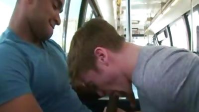 indecent Interracial Sex, Anal, Black, Blowjob